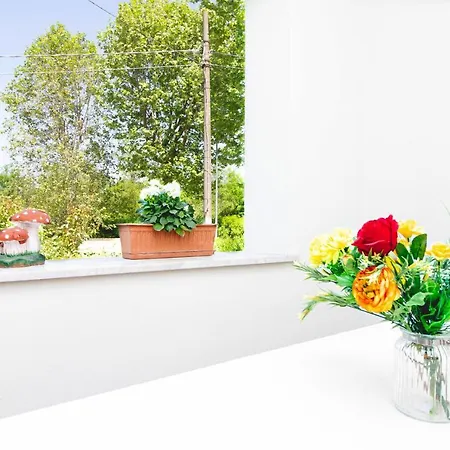 Apartament I Pini Migliarino Pisano